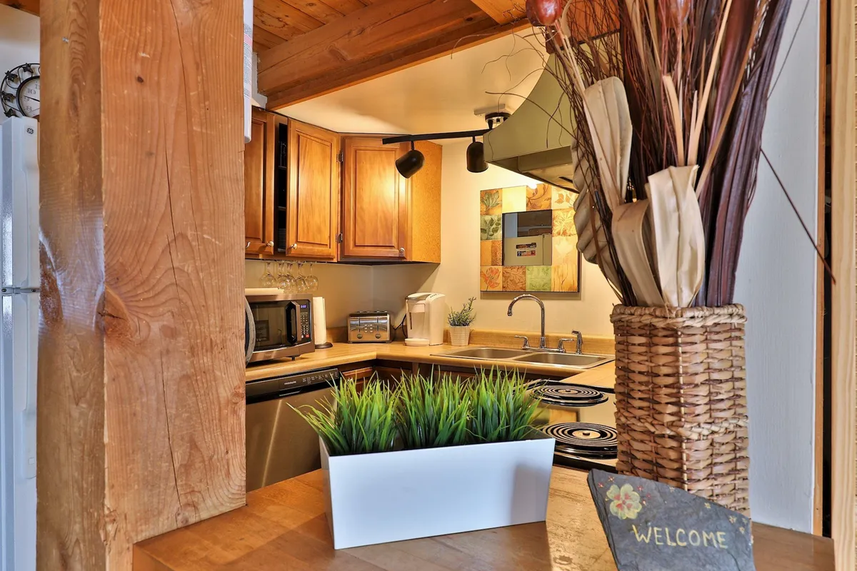 This image captures a welcoming kitchen space featuring a central island, decorative plant, and modern wall art. The room is well-lit and designed for socializing, entertaining, and collaborative work, aligning with the idea of booking both duplex units for group stays. The modern amenities are visible, emphasizing contemporary comfort alongside rustic charm.