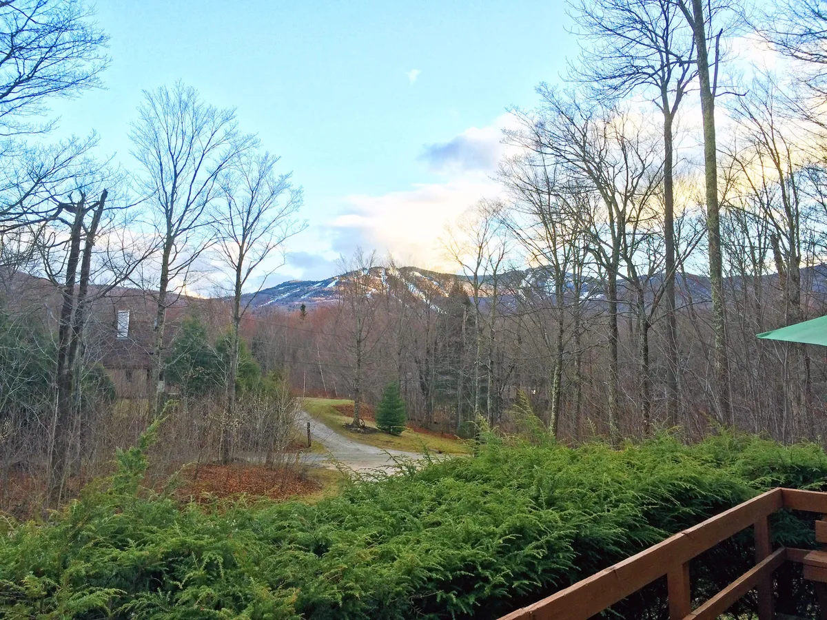 A peaceful vista with mountains in the background, leafless trees, lush green bushes, and a pathway leading into the woods. The setting invites hiking, photography, and nature walks, highlighting the tranquil yet adventurous spirit of the region.